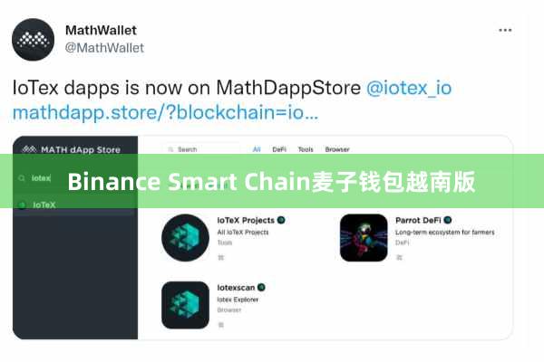 Binance Smart Chain麦子钱包越南版