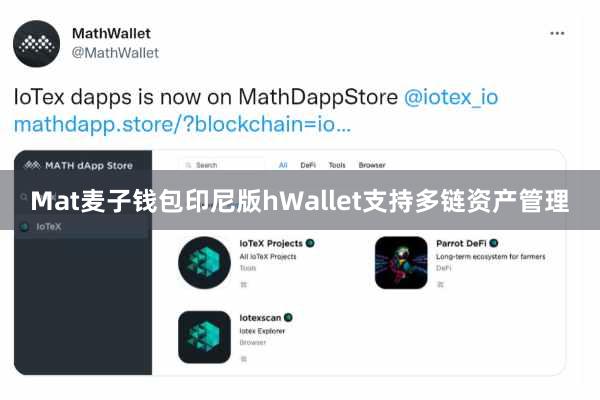 Mat麦子钱包印尼版hWallet支持多链资产管理