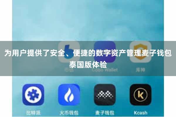 为用户提供了安全、便捷的数字资产管理麦子钱包泰国版体验