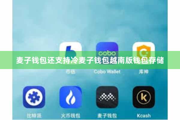 麦子钱包还支持冷麦子钱包越南版钱包存储