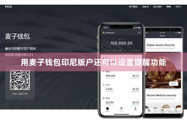 用麦子钱包印尼版户还可以设置提醒功能