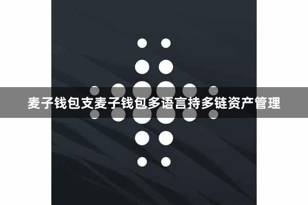 麦子钱包支麦子钱包多语言持多链资产管理