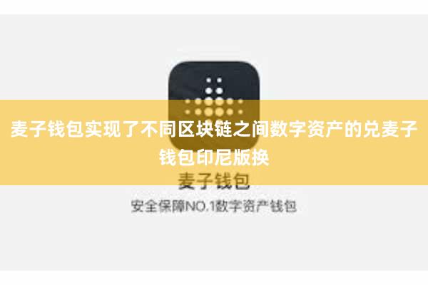 麦子钱包实现了不同区块链之间数字资产的兑麦子钱包印尼版换