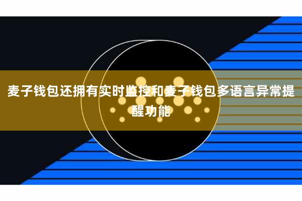 麦子钱包还拥有实时监控和麦子钱包多语言异常提醒功能