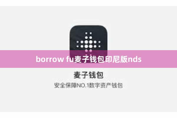 borrow fu麦子钱包印尼版nds
