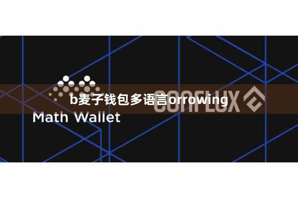 b麦子钱包多语言orrowing