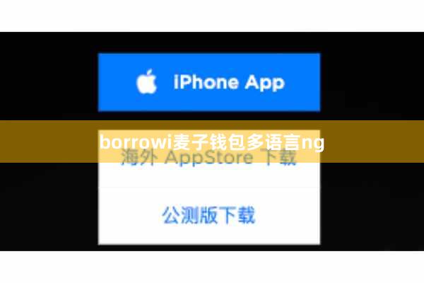 borrowi麦子钱包多语言ng