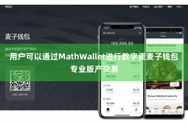 用户可以通过MathWallet进行数字资麦子钱包专业版产交易