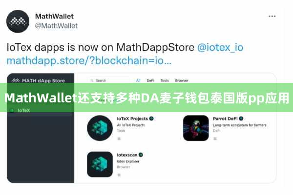 MathWallet还支持多种DA麦子钱包泰国版pp应用