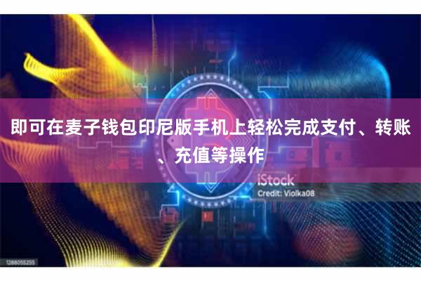 即可在麦子钱包印尼版手机上轻松完成支付、转账、充值等操作
