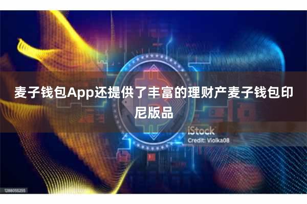 麦子钱包App还提供了丰富的理财产麦子钱包印尼版品