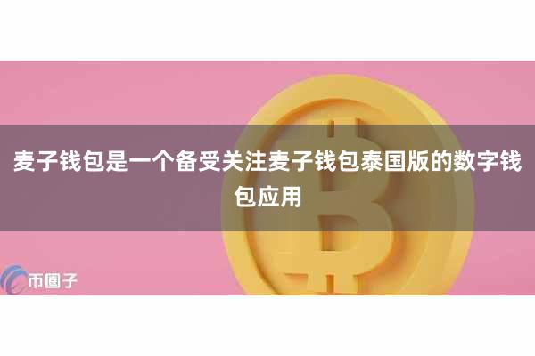 麦子钱包是一个备受关注麦子钱包泰国版的数字钱包应用