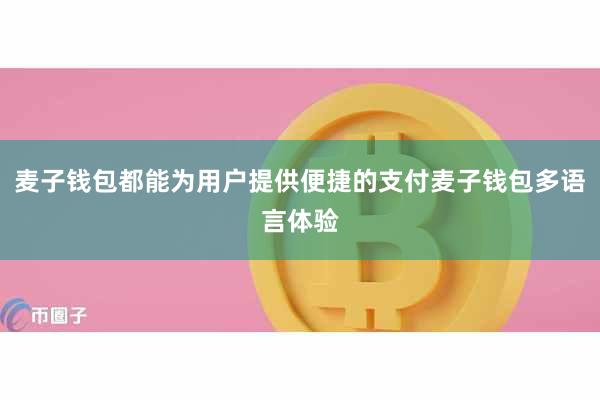 麦子钱包都能为用户提供便捷的支付麦子钱包多语言体验