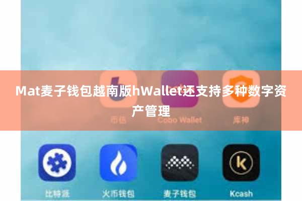 Mat麦子钱包越南版hWallet还支持多种数字资产管理