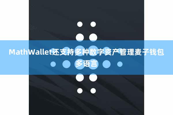 MathWallet还支持多种数字资产管理麦子钱包多语言