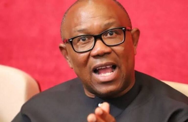 2023: 99% Of Our Votes Is For Peter Obi - Group Vows