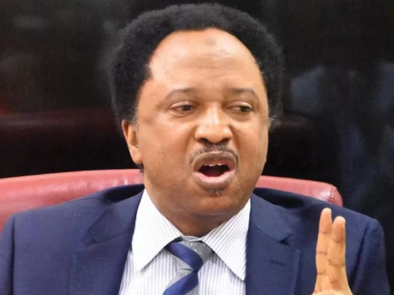 Nigerians More interested In Voting Leaders To Represent Their Religion, Tribes —Shehu Sani