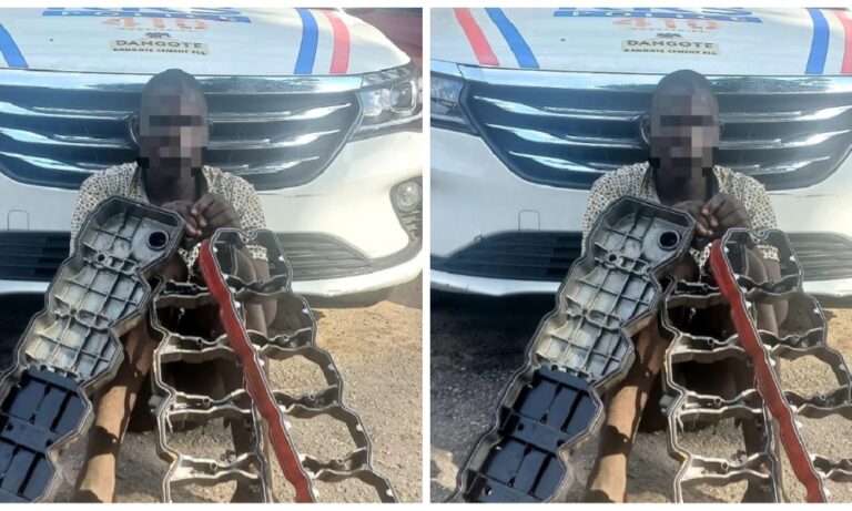 Ex-Convict Caught Stealing Hours After Bail Out From Prison