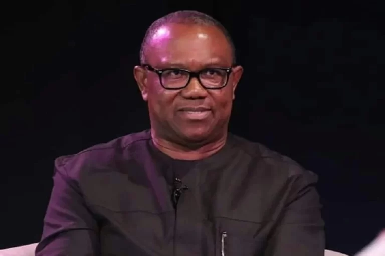 2023 Presidency: Peter Obi Is Part Of Ruling Class - Ologbondiyan