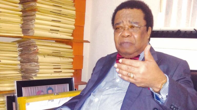 US, UK Lobbied Me To Legalise Same-Sex Marriage In Nigeria - Ex-Foreign Minister Reveals