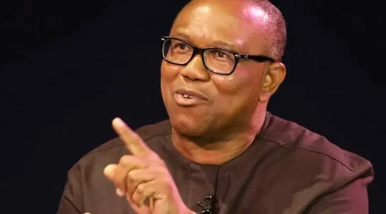 2023: Why My Opponents Are Attacking Me - Peter Obi