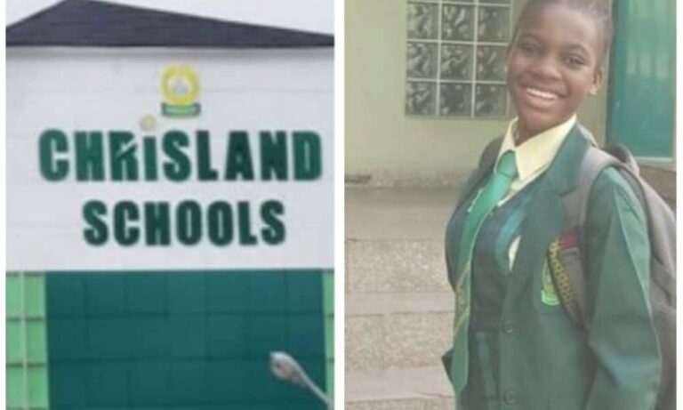 Whitney Adeniran: No Reason To Shut Down Chrisland School - Lagos Deputy Gov