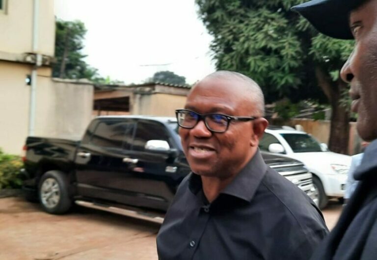 FG Focuses On Peter Obi Than Its Primary Assignment