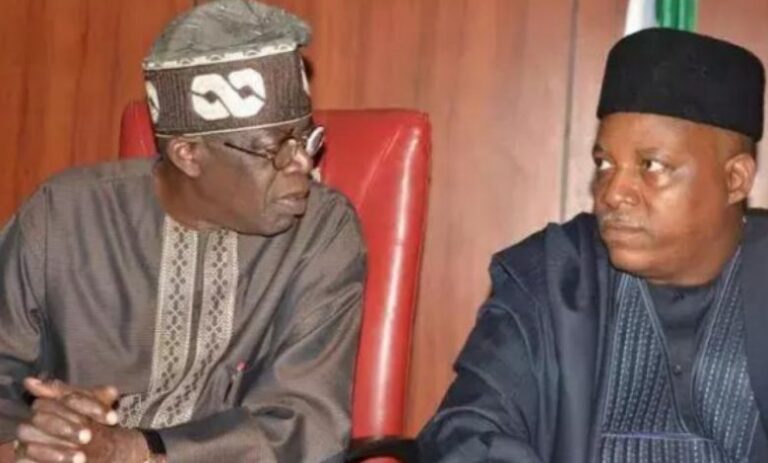 Tinubu: APC PCC Reacts As North-East Youths Threaten To Dump Shettima