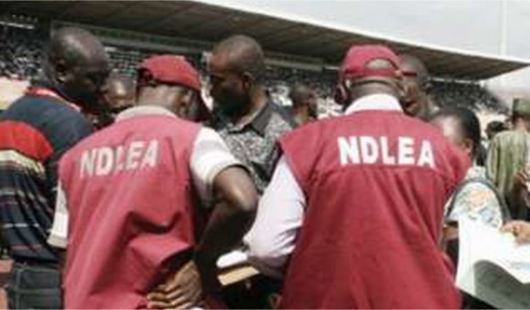 NDLEA Officers