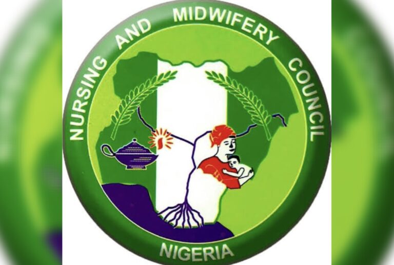 Low funding, staff shortage challenges of achieving zero mortality rate: Midwifery council