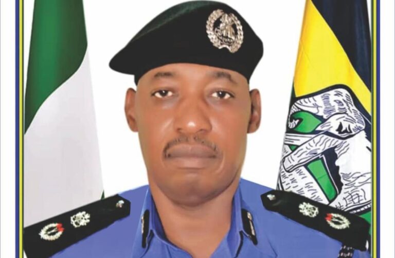 POLICE COMMISSIONER IN KATSINA SHEHU UMAR NADADA