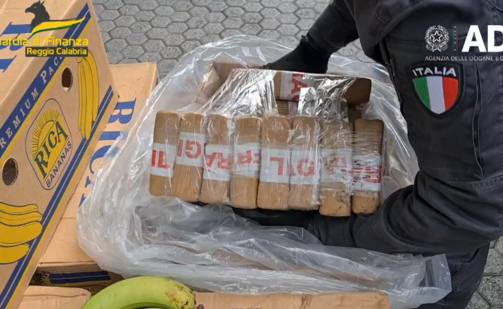 Seized cocaine smuggled in a batch of bananas at the port of Gioia Tauro