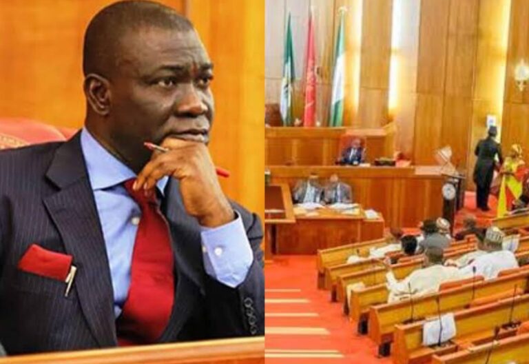 Ike Ekweremadu, Nigerian Senate