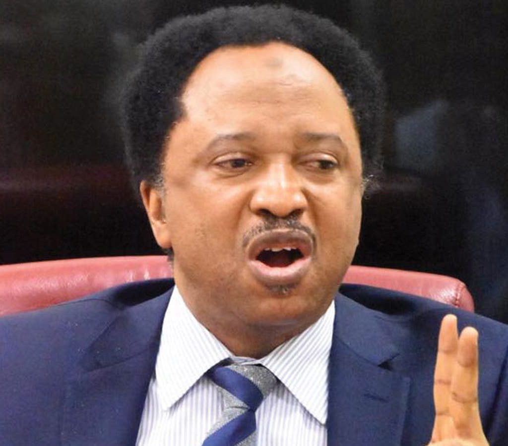 Buhari Govt Hurriedly Concessioning Public Assets - Shehu Sani