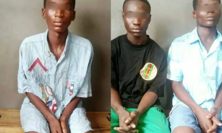 Teenage Boy, His Friends Nabbed Over Fake Kidnap To Defraud Parents Of 20 Million Naira