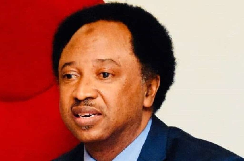 Obidients More Peaceful Than Buhari Supporters - Shehu Sani