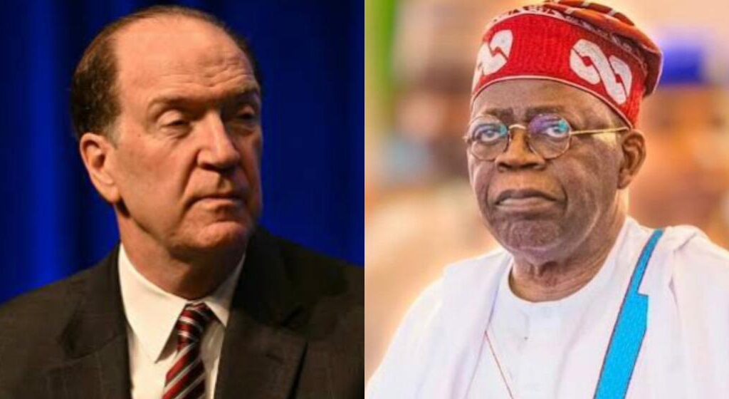 David Malpass and President Bola Tinubu