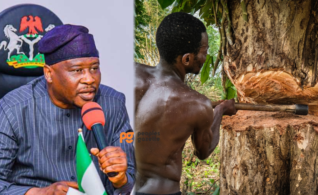 Adamawa Governor Ahmadu Fintiri and photo of a man cutting a tree