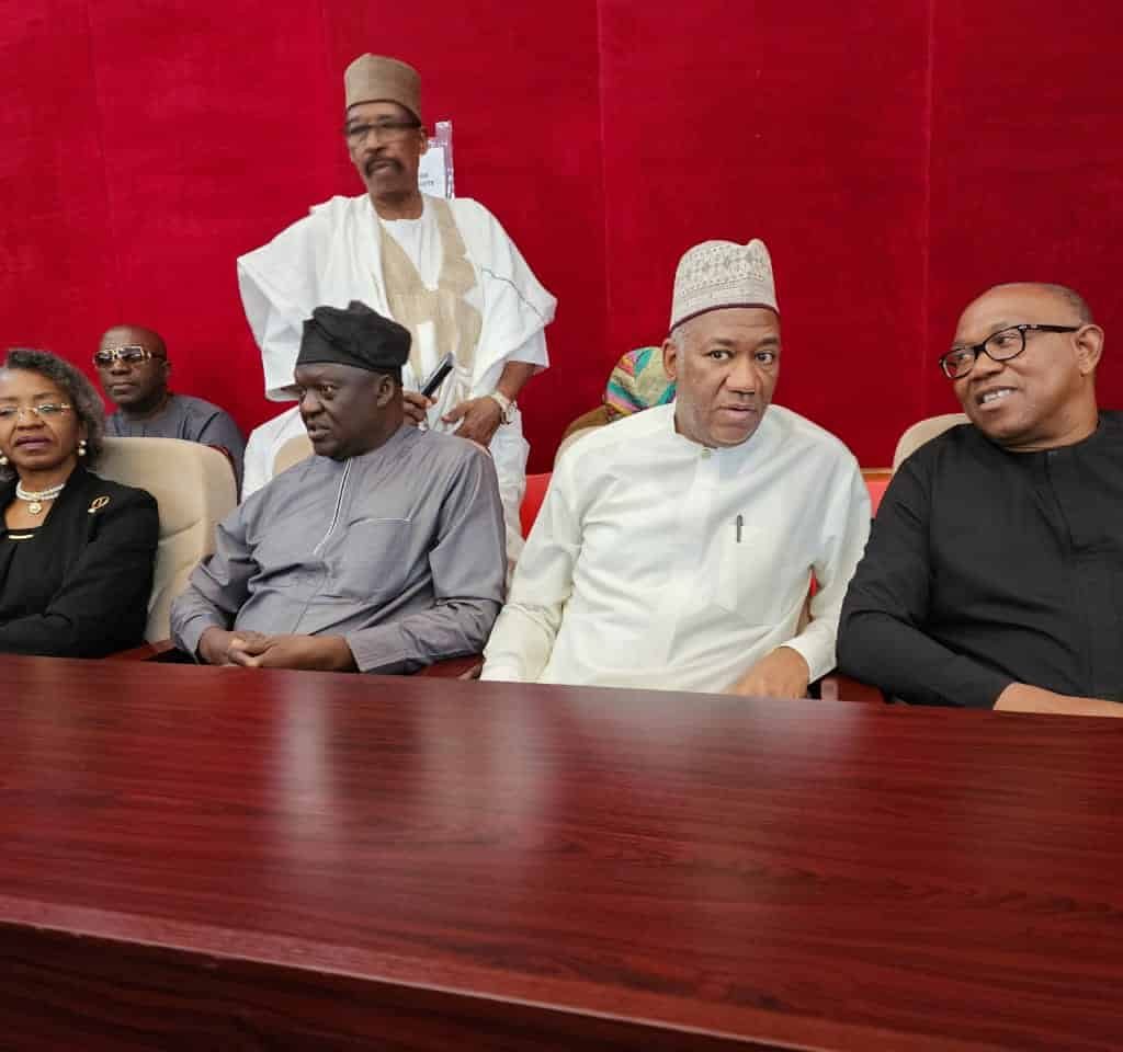 Peter Obi Speaks After Presenting Witness Against Tinubu In Court