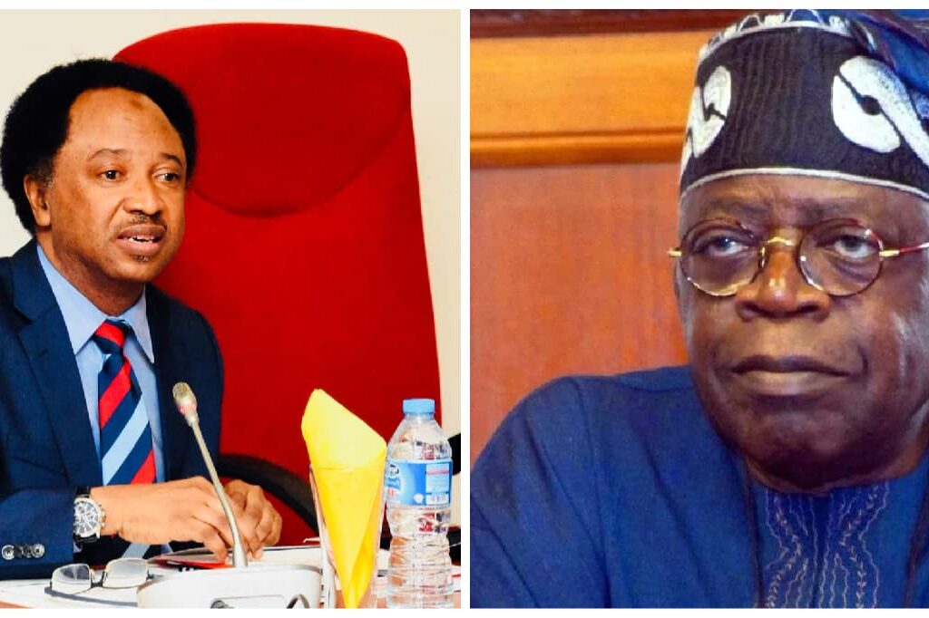 Probe Buhari, Ex-Govs, Ex-ministers, Service Chiefs, - Shehu Sani Tells Tinubu