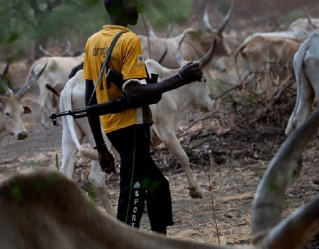 Suspected herdsmen slaughter Ohaneze Ndigbo youth leader's father, one other in Ebonyi