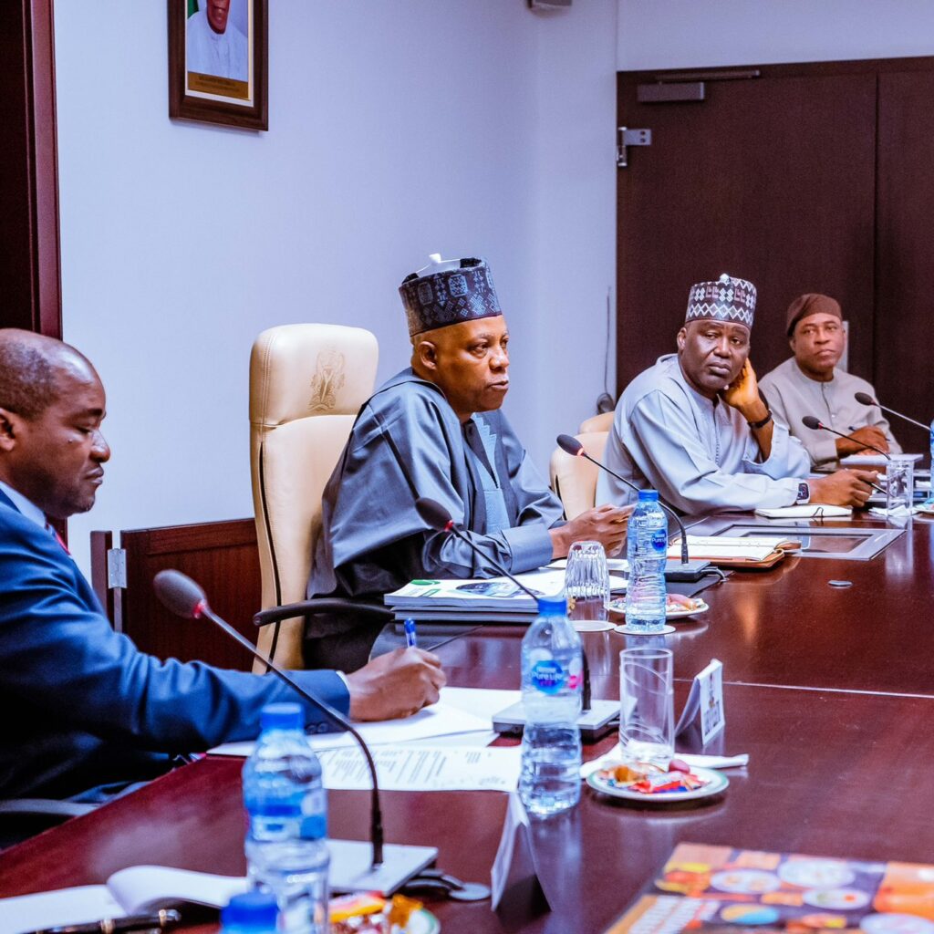 Details Of Shettima’s Meeting With NESG Delegation Emerge