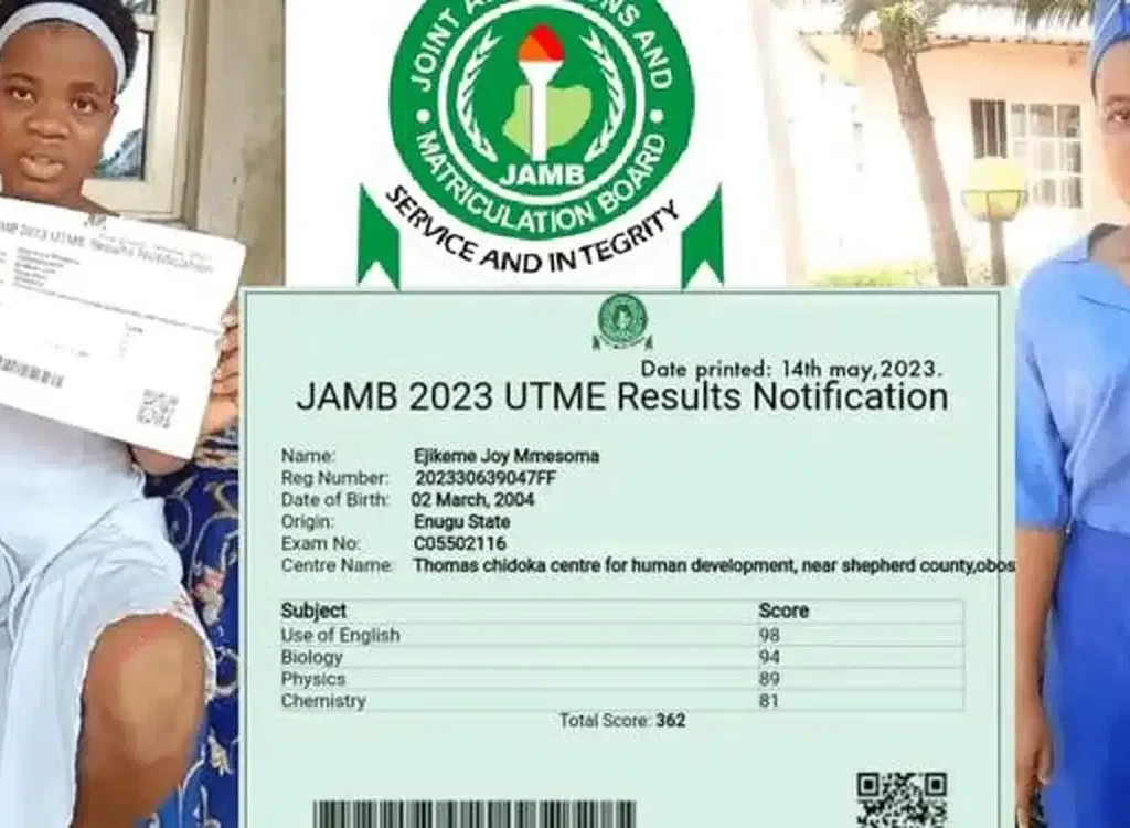 List Of Professors, Others Set Up To Investigate JAMB, Mmesoma Ejike's UTME Score Saga