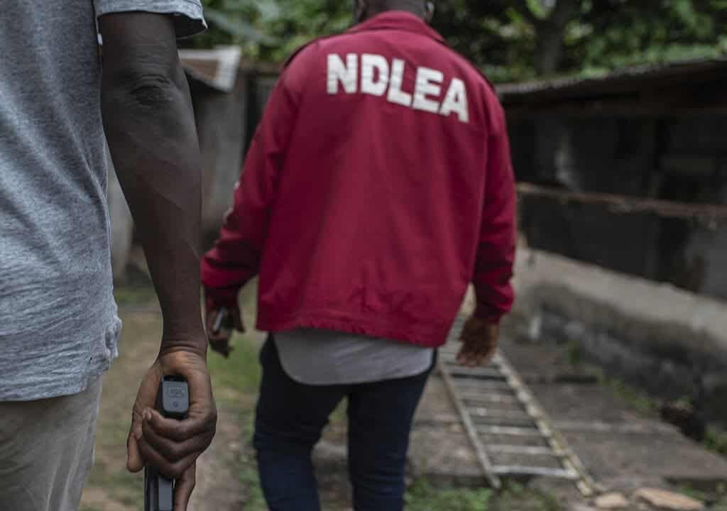 NDLEA Bursts Major Drug Syndicate In Kano After Two Months Of Tracking