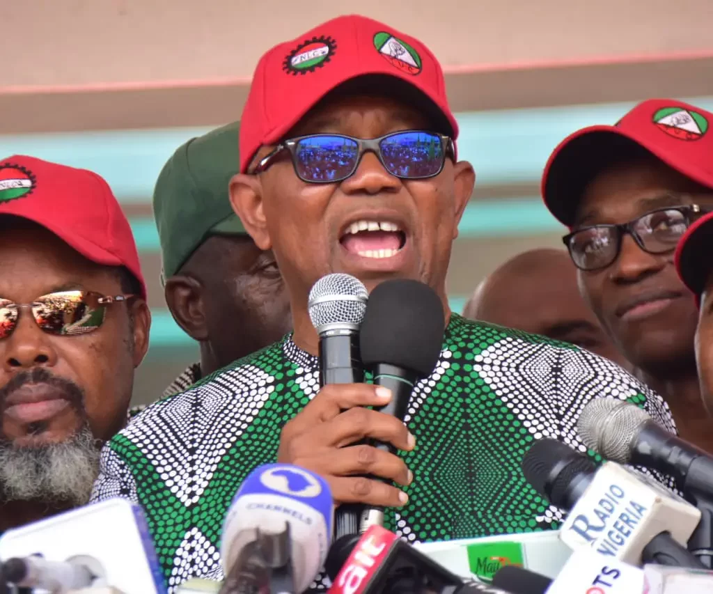 What Peter Obi Said At Workers Day Rally In Abuja [Photos]