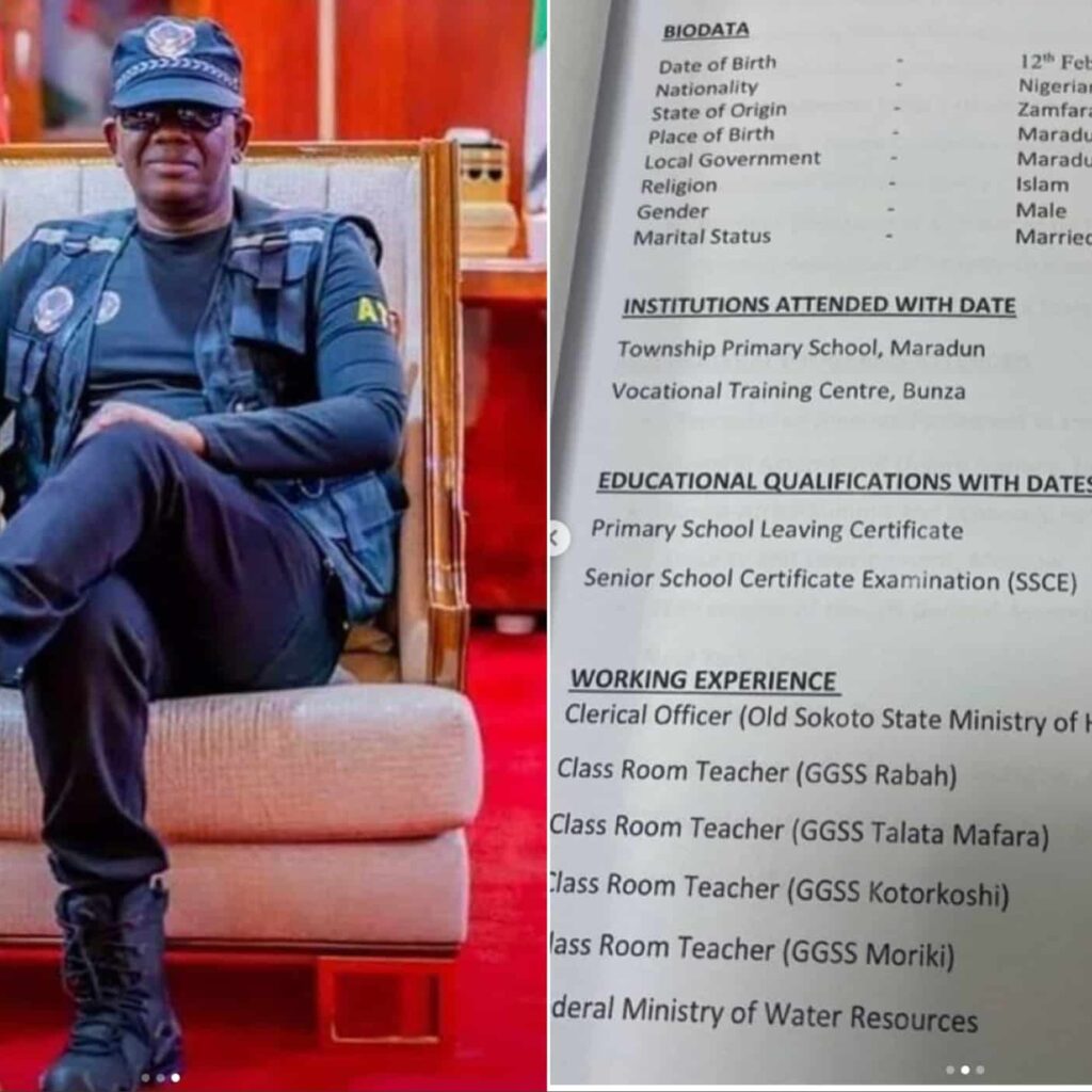 See Resume Of Designated Minister Of State For Defence, Mattawalle That Got A lot Of People Talking