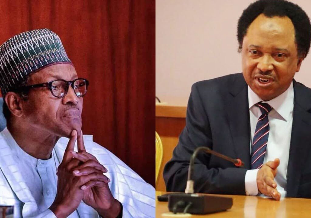 Buhari-shehu-sani