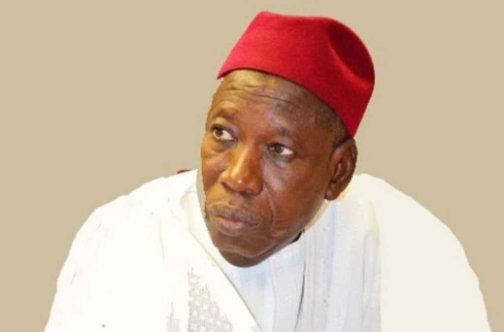 Kano guber poll: Ganduje is a serial loser - NNPP