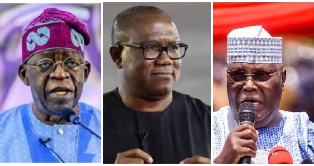 'Why Atiku, Peter Obi Should Not Bother About Going To The Supreme Court'