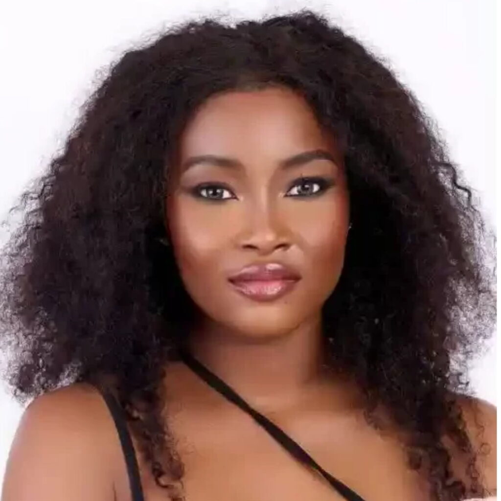 BBNaija All Stars: My clashes with housemates not strategy to win - Ilebaye